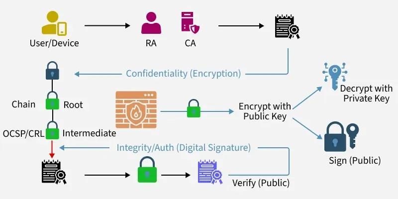 Elliptic curve cryptography